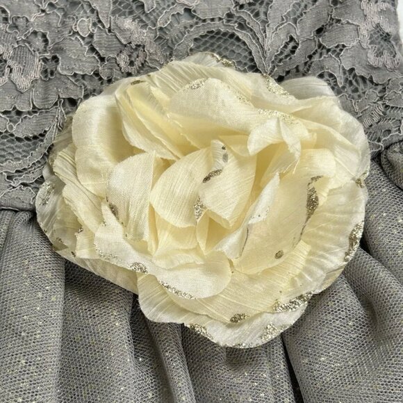 NWOT Pink & Violet Sleeveless Lace Glitter Mesh Dress - Picture 4 of 11